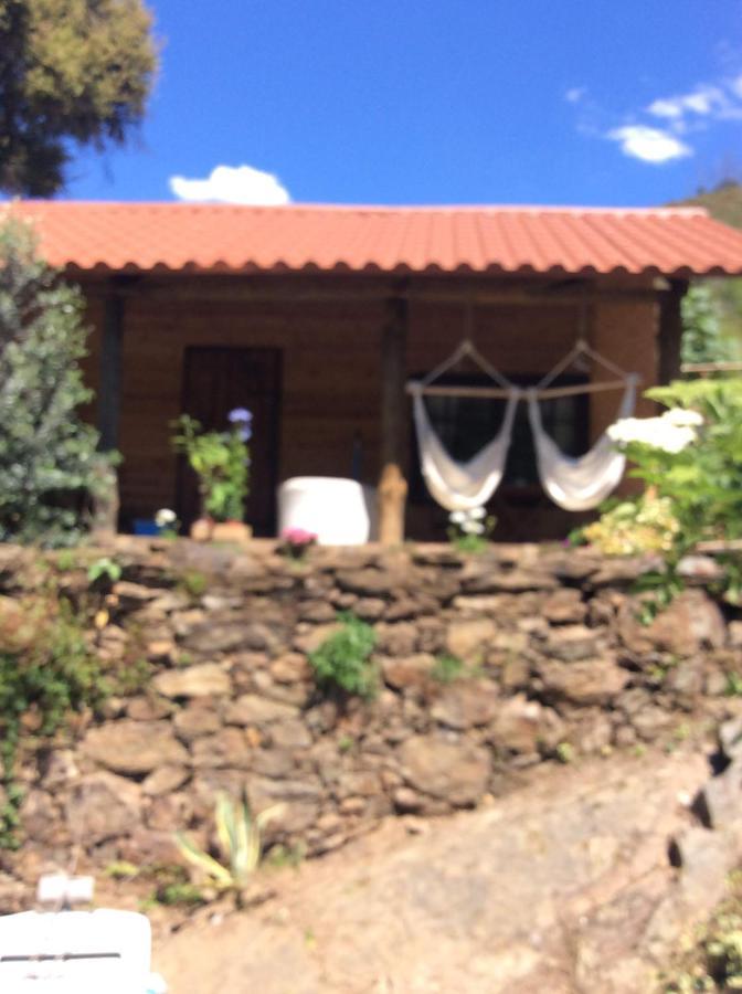Unique Tiny House With Natural Building Techniques Figueiro Dos Vinhos Exteriör bild