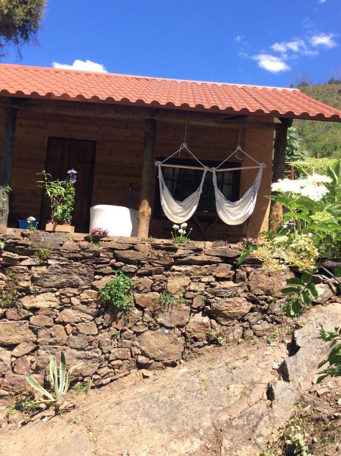 Unique Tiny House With Natural Building Techniques Figueiro Dos Vinhos Exteriör bild