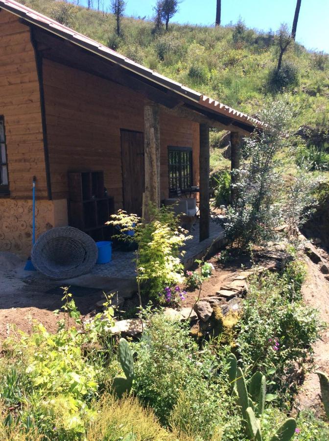 Unique Tiny House With Natural Building Techniques Figueiro Dos Vinhos Exteriör bild