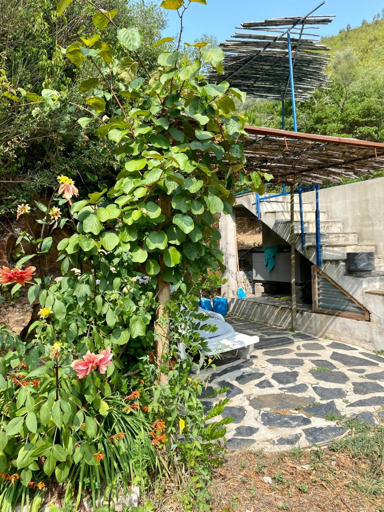 Unique Tiny House With Natural Building Techniques Figueiro Dos Vinhos Exteriör bild